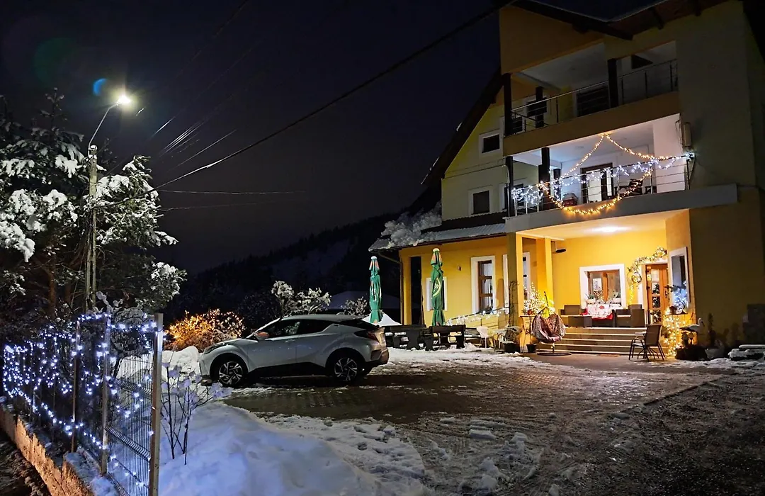 Pensiunea Valurile Bistritei-1